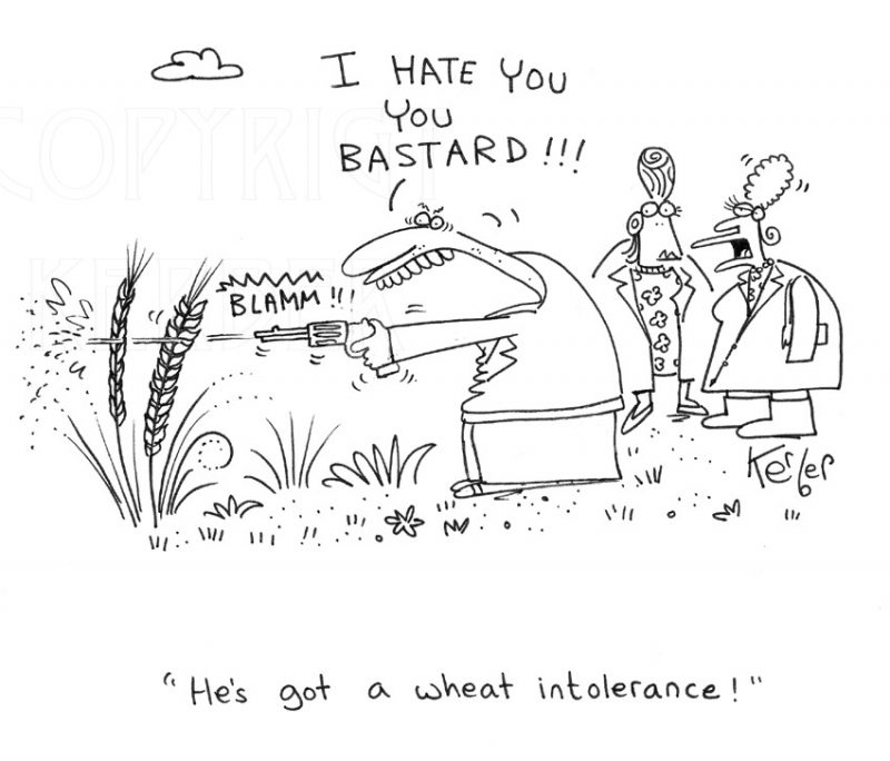 Wheat Cartoons by Neil Kerber